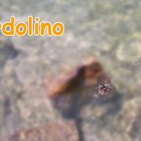 Bardolino